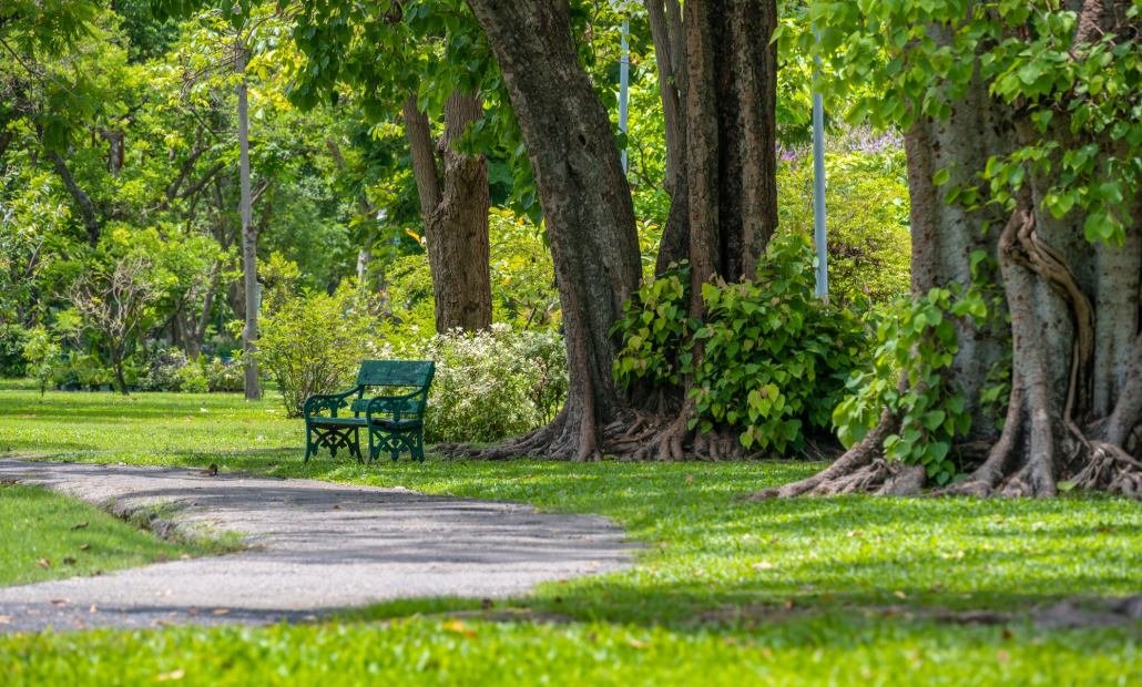 Parks and Recreation