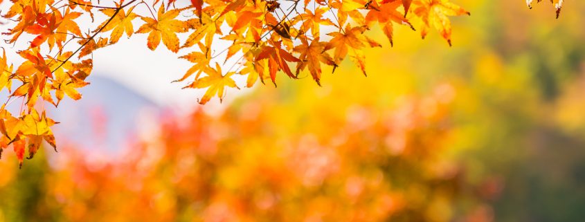 Sell Your Home This Fall