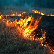 Fire Safety Fire Safety