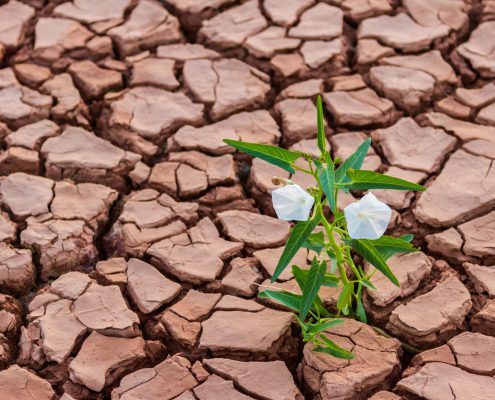 Drought Prone Areas