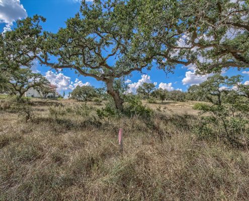 1128 Ensor Street - Lot Available in Pecan Springs