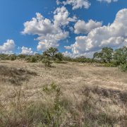 11228-ensor-street-4 1128 Ensor Street - Lot Available in Pecan Springs