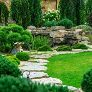 Landscaping Ideas