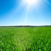 San Antonio Home Builders Build on Your Lot