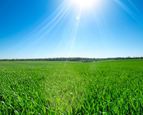 San Antonio Home Builders Build on Your Lot