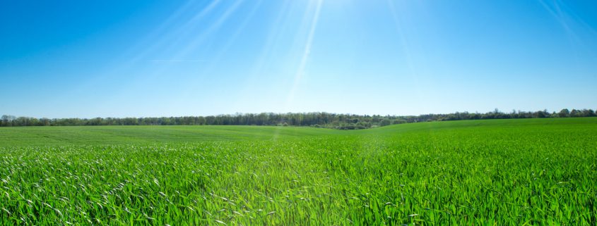 San Antonio Home Builders Build on Your Lot